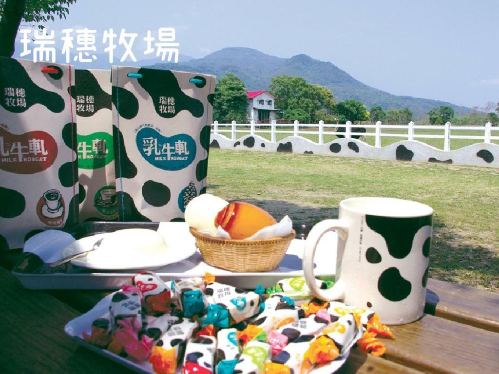 Ruisui Style B&B Extérieur photo